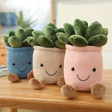 Load image into Gallery viewer, Succulent Plush
