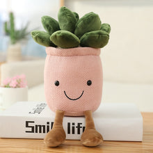 Load image into Gallery viewer, Succulent Plush
