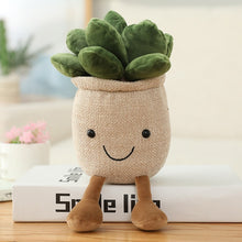 Load image into Gallery viewer, Succulent Plush
