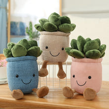 Load image into Gallery viewer, Succulent Plush
