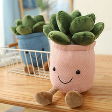 Load image into Gallery viewer, Succulent Plush
